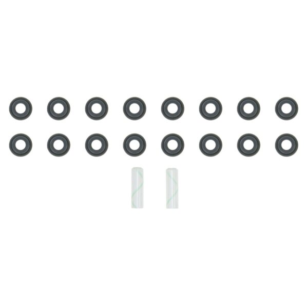 Engine Valve Stem Oil Seal Set, Intake and Exhaust