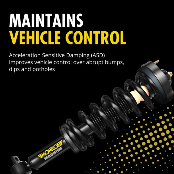 Suspension Strut and Coil Spring Assembly, Front