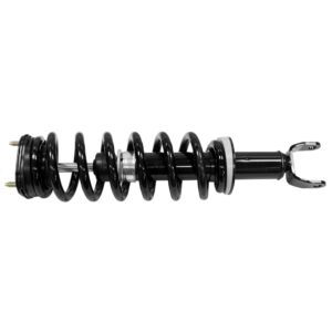 Suspension Strut and Coil Spring Assembly, Front