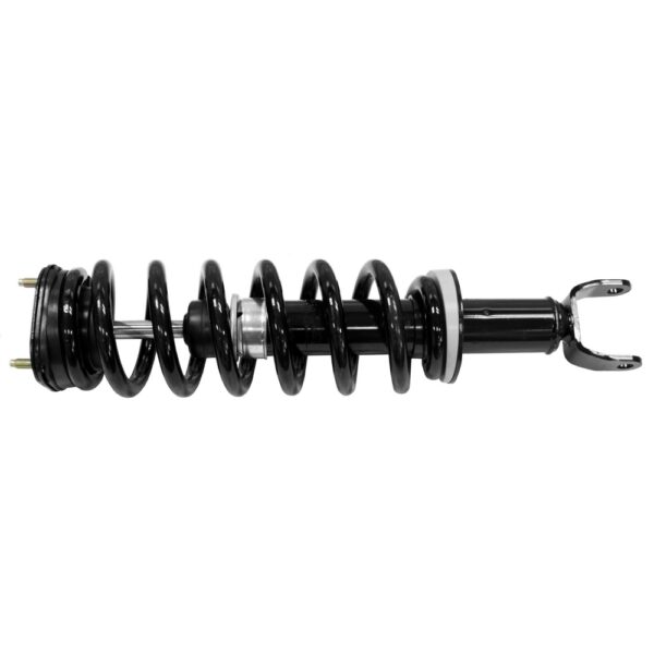 Suspension Strut and Coil Spring Assembly, Front