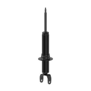 Suspension Strut, Front