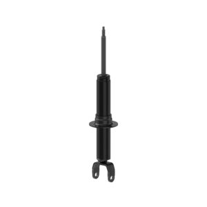Suspension Strut, Front