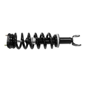 Air Spring to Coil Spring Conversion Kit, Front Left