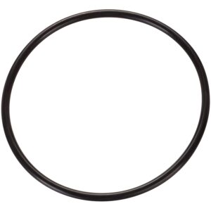 Fuel Pump Tank Seal