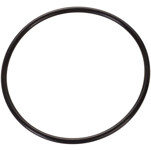 Fuel Pump Tank Seal