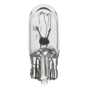 Multi-Purpose Light Bulb