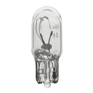 Multi-Purpose Light Bulb