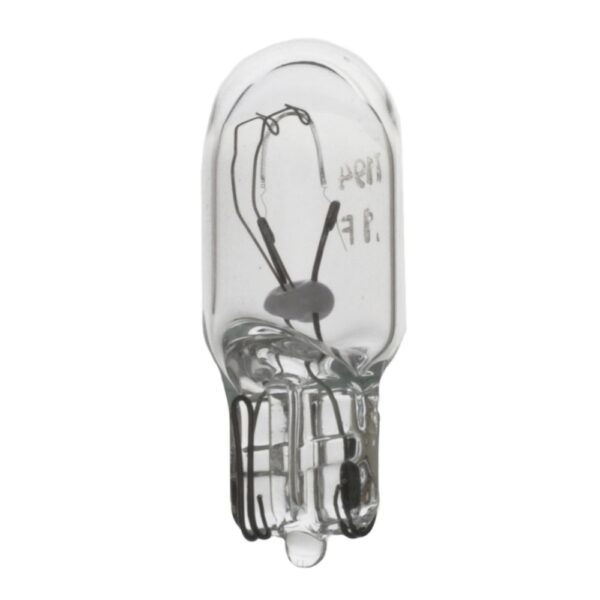 Multi-Purpose Light Bulb