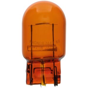 Multi-Purpose Light Bulb, Rear