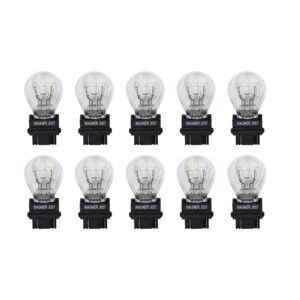 Multi-Purpose Light Bulb
