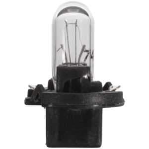 Multi-Purpose Light Bulb