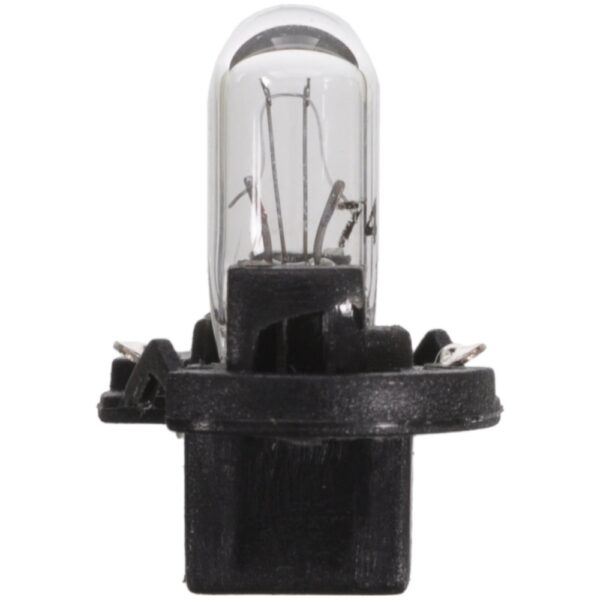 Multi-Purpose Light Bulb