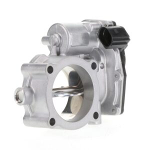 Fuel Injection Throttle Body